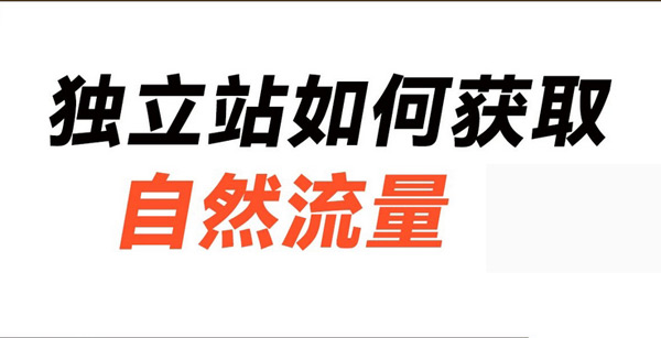 獨(dú)立站沒流量怎么辦？付費(fèi)+免費(fèi)方法大放送！