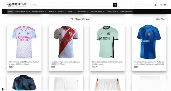 saas獨立站從建站到1天8千美金全流程