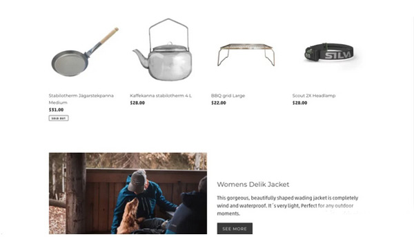 saas獨立站從建站到1天8千美金全流程