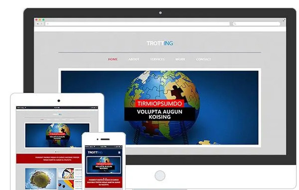 購買海外訪客都是哪國流量？