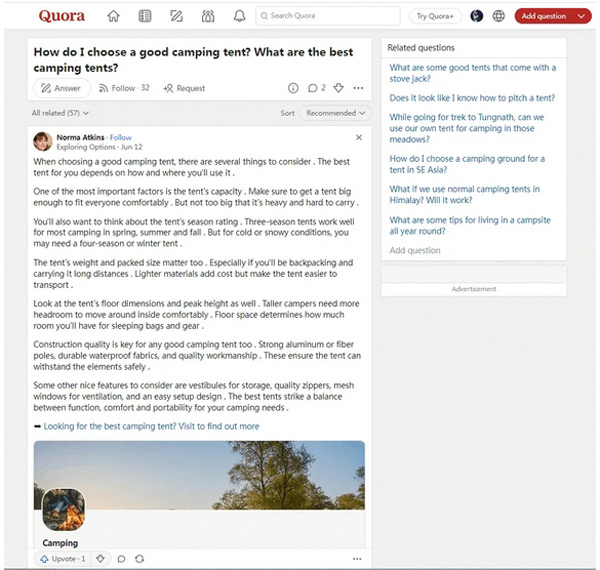 獨(dú)立站不想付費(fèi)怎么去做引流？