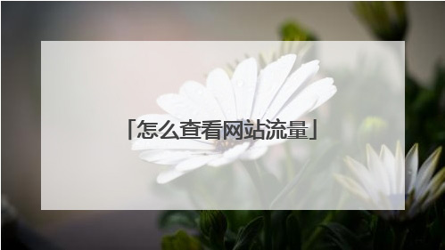 網(wǎng)站日均流量怎么看？網(wǎng)站日均訪問(wèn)量查詢(xún)？