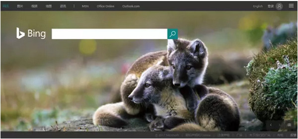 國外網(wǎng)站推廣，認(rèn)準(zhǔn)這十個平臺就夠了！